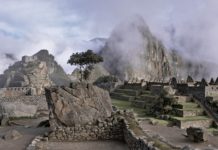 Hors des décombres, typologie des lignes de fuite