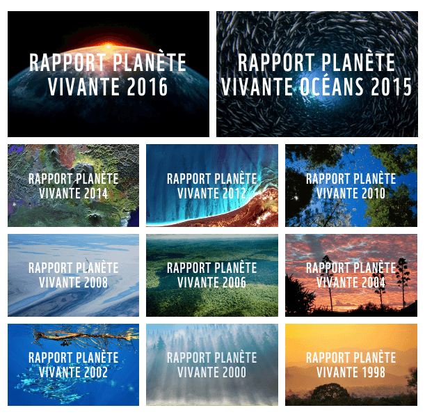 rapports planete vivante wwf