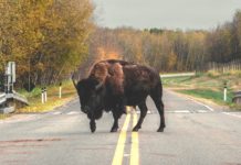 Placer des obstacles sur la voie