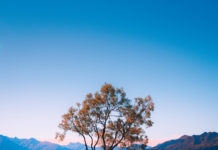 Propositions pour un retour sur Terre