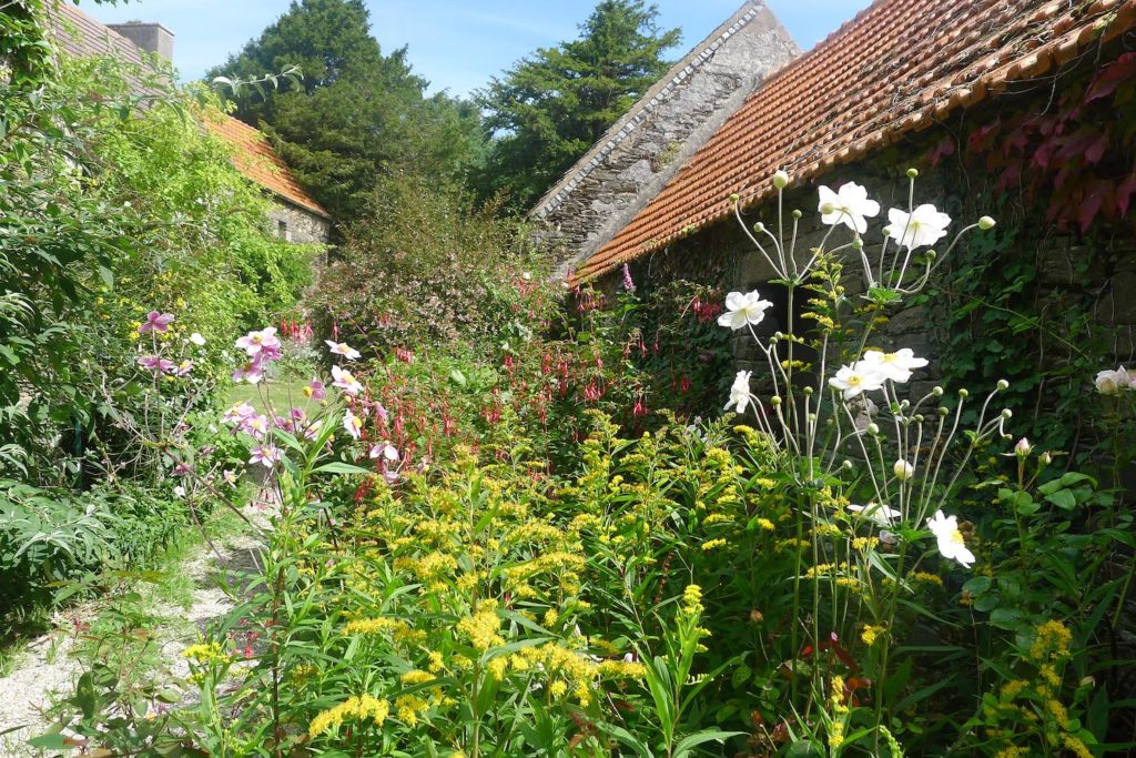 Photographie du jardin de jacques ranciere