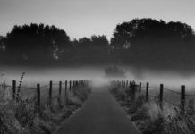 Reprise de terres : présentation en podcast