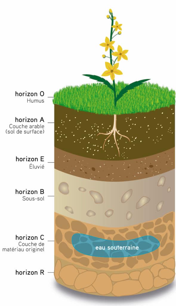 couches du sol
