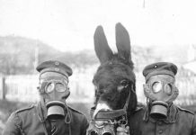 Cause Animale, Luttes Sociales