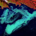 Séminaire · D’autres dépendances écologiques sont-elles possibles ?