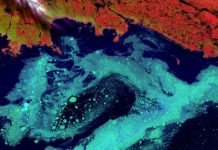 Séminaire du 13 avril 2022 — D’autres dépendances écologiques sont-elles possibles ?