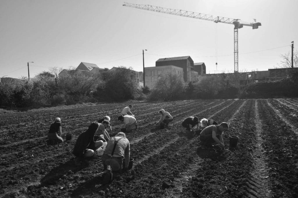 jardins du quartier libre des lentilleres