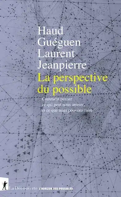 Couvertue du livre la perspective du possible