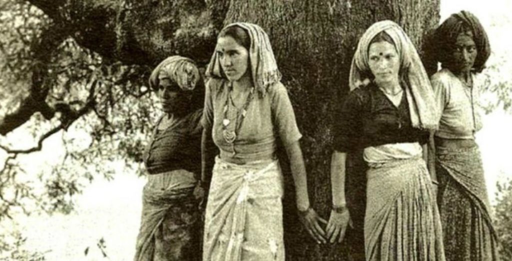 mouvement chipko