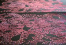 « L’écoféminisme n’est pas qu’un outil théorique ! » ecofméninisme pas outil