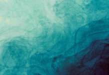 Penser et agir depuis la subsistance : une perspective écoféministe