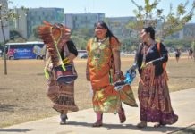 Résister au Brésil : pas d’agroécologie sans féminisme