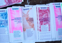 Soutenir Terrestres grâce à vos dons !