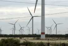 Les hurlements du vent : enquête sur l’extractivisme éolien au Mexique