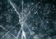 Quand le capitalisme fait sécession