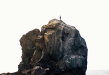 Qui a tué l’Anthropocène ?