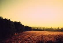 Subvertir les normes depuis les marges féministes rurales agriculture féminisme écoféminisme