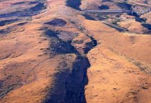 Savane en sursis sur l’île de La Réunion