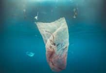 Polluer, c’est coloniser