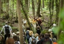 L’Appel des paysages