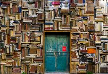 Les conseils des Terrestres #1