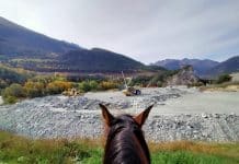 TGV Lyon-Turin : quand l’alibi écologique cache un projet ravageur