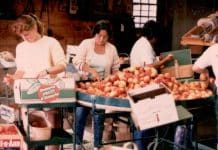 Repenser le travail pour contrer l’exploitation des vivants