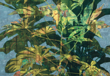 Pour une écologie de la libération : antiracisme et écologie politique