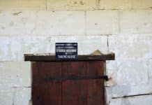 Face aux zoonoses, « il faut rendre plus concrètes les chaînes de solidarité entre les êtres vivants »