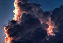 Néolibéralisme : crépuscule ou métamorphose ?