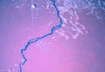 Lutter contre le colonialisme intérieur auprès des peuples déforestés d’Amazonie