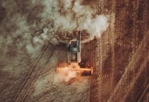 Face au pétromasculinisme, une paysannerie écoféministe