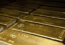 Quand le néolibéralisme enfante le néofascisme : aux sources d’une révolution idéologique