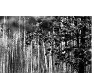 Désirer après le capitalisme