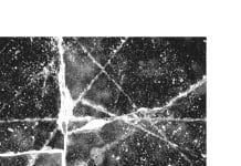 Quand le capitalisme fait sécession