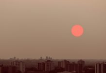 « L’écologie, ça suffit ! » : comprendre et contrer le backlash environnemental