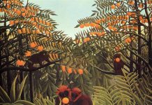 Le tournant féministe de la primatologie