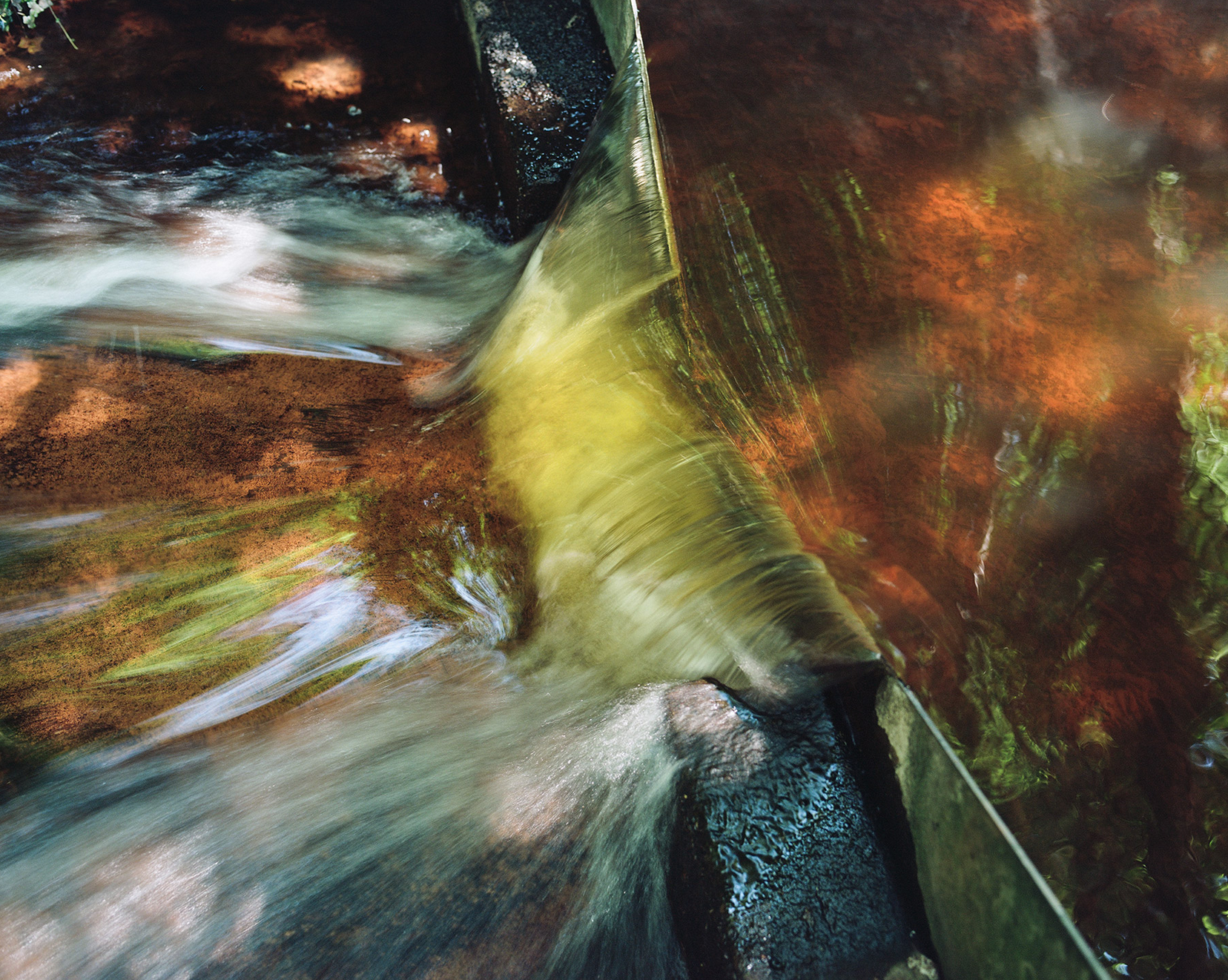 La bactérie et la goutte de pluie : une autre histoire des cycles de l’eau