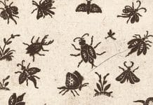 « Printemps silencieux » en URSS : dans les marges de l’agriculture industrielle russe