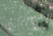 Terre invaincue : la catastrophe écologique à la lumière de l’Ukraine en guerre