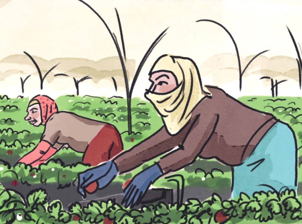Tenir bon : la leçon d’émancipation des « dames de fraises »