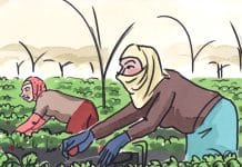 Tenir bon : la leçon d’émancipation des « dames de fraises »