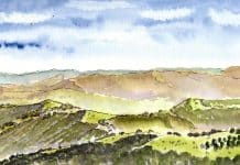 Le plomb dans l’aile : accords et discords entre chasseurs et ornithos