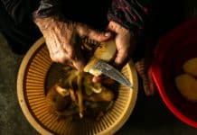 Cultiver la vie dans les cendres : écologies de survie au Liban-Sud