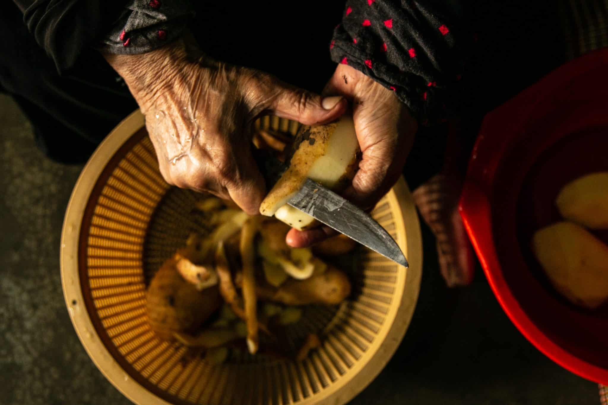 Cultiver la vie dans les cendres : écologies de survie au Liban-Sud