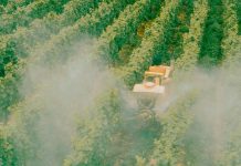 « Le plus grand cancérigène, c’est l’inaction politique »