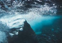 La mer des batailles : comment défendre le vivant qu’on ne voit pas